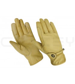 Horse Riding Gloves